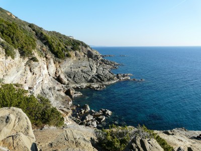 P1000501