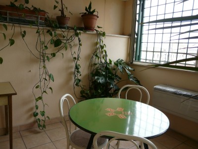 P1000520