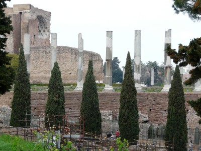 P1000539