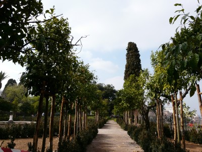 P1000555