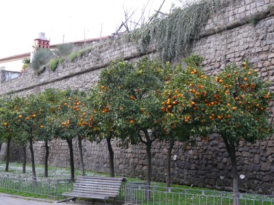 P1010109