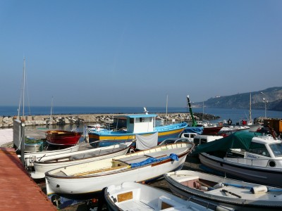 P1010168