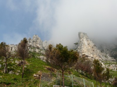 P1010178