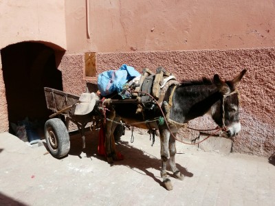 Marrakech