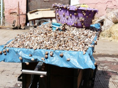 Marrakech