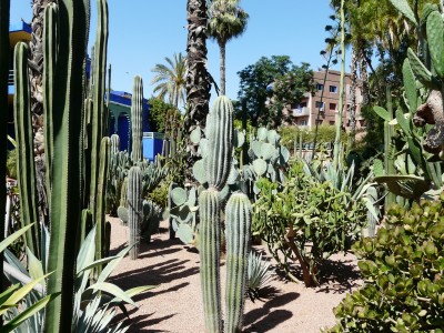 Jardin Majorelle
