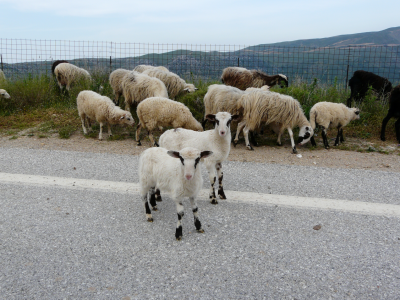 Image10