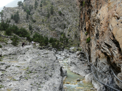 Image29