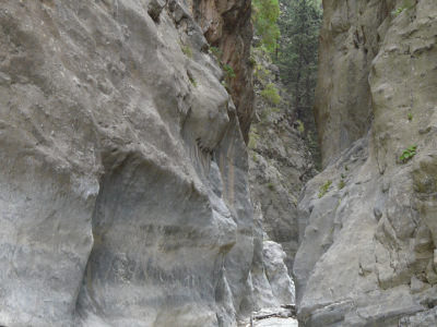 Image31