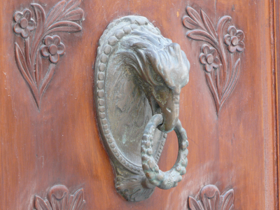 Image46
