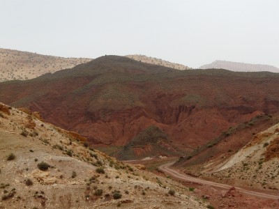 P1160952