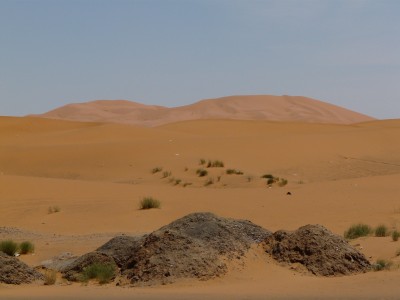 P1170420