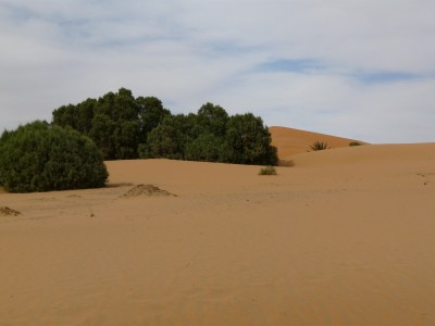 P1170435