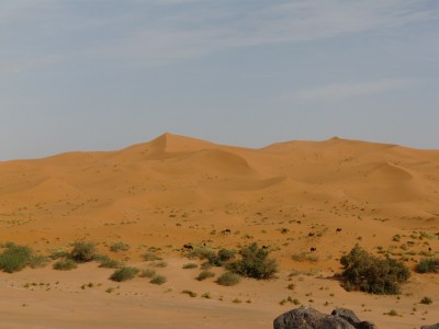 P1170602