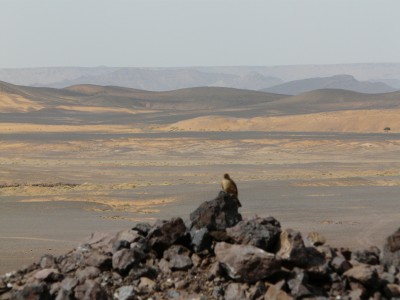 P1170621