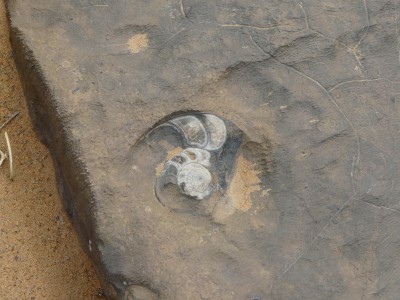 P1170701