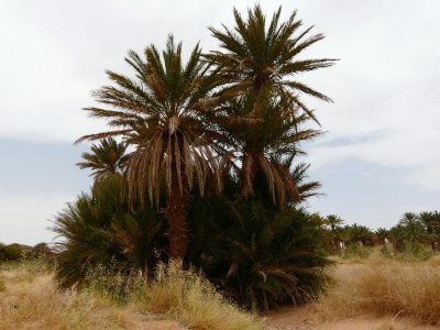 P1170716