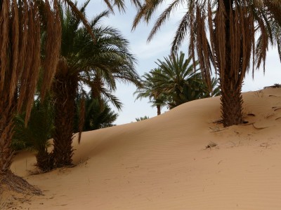Sahara Merzouga