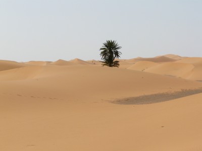 Sahara Merzouga