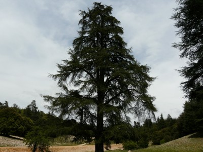P1180022