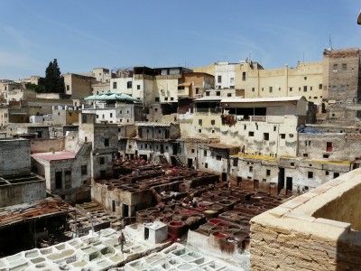 Tannerie Chouara Fès