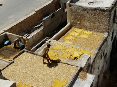 Tannerie Chouara Fès