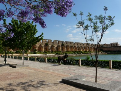 Bassin de l’Agdal
