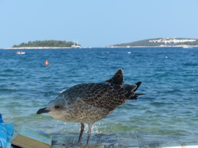 P1090076