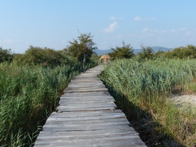 P1090391