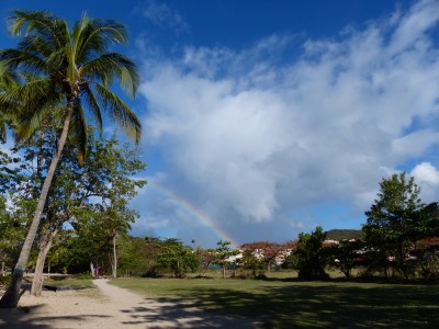 P1150611