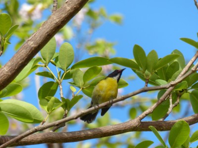 P1150618