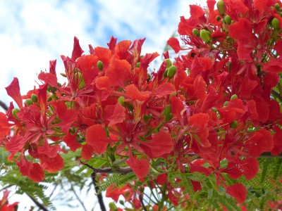 P1150661