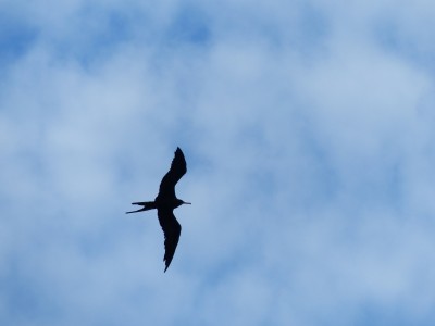 P1150675