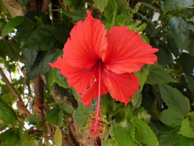 P1150708