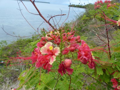 P1150811
