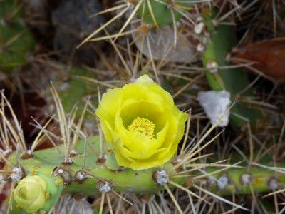 P1150946