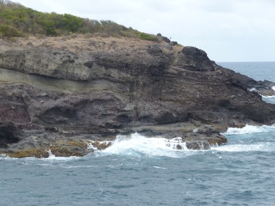 P1160113