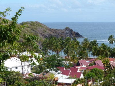 P1160201