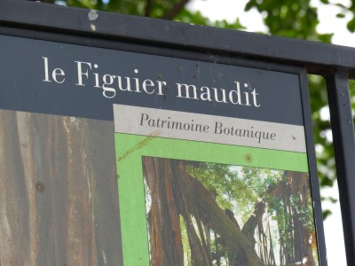 P1160211