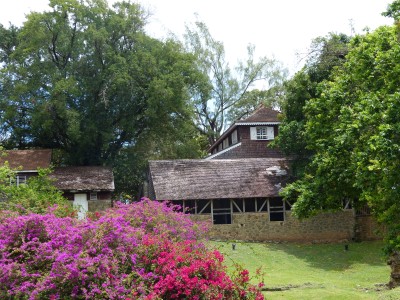 Habitation Clément