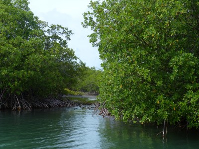 P1160329
