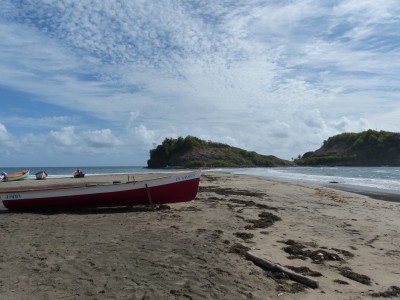 P1160426