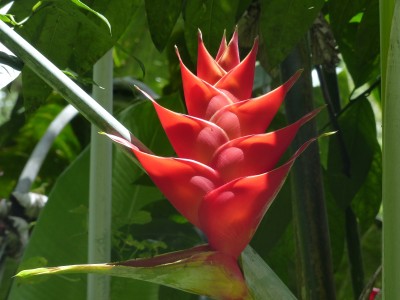 P1160505