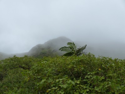 Montagne Pelée
