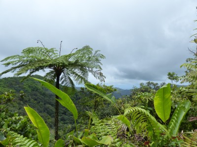 P1160590