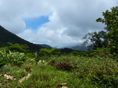 P1160591