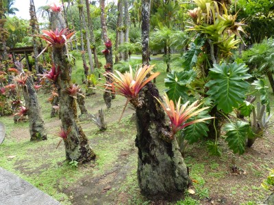 Jardin de Balata