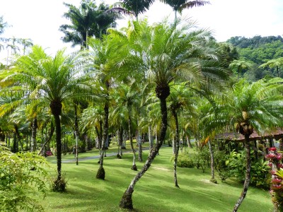 Jardin de Balata