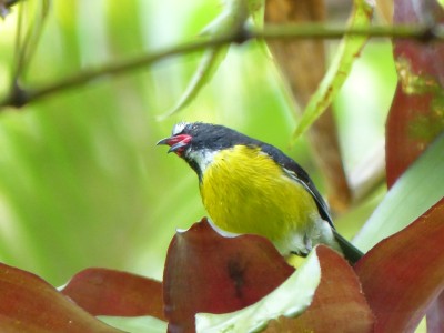 P1160661