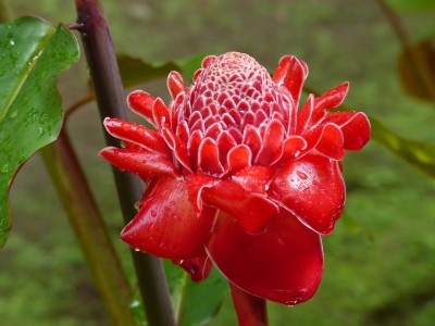 P1160676